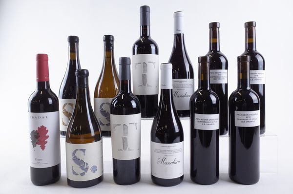 TEN BOTTLES SPANISH RED AND TWO WHITE WINE