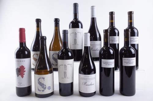 TEN BOTTLES SPANISH RED AND TWO WHITE WINE