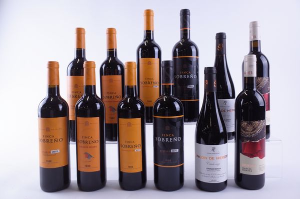 TWELVE BOTTLES SPANISH RED WINE