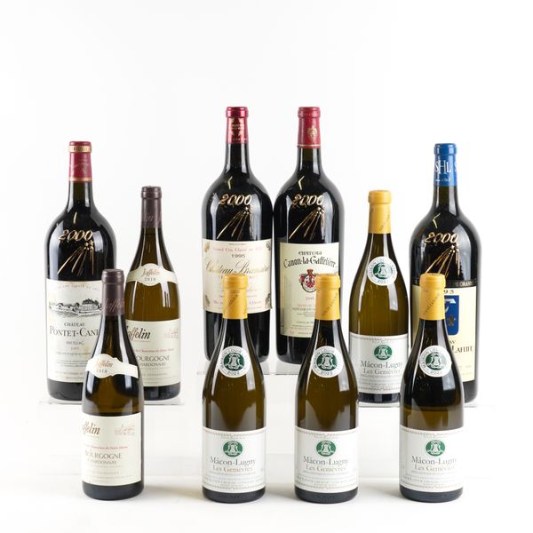 TEN BOTTLES VARIOUS VINTAGE WINES (10)
