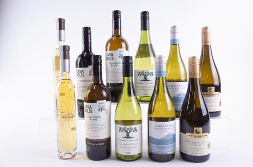 EIGHT BOTTLES CHILEAN WHITE, ONE RED AND TWO DESSERT WINE (11)