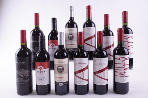 TWELVE BOTTLES CHILEAN AND ARGENTINIAN RED WINE
