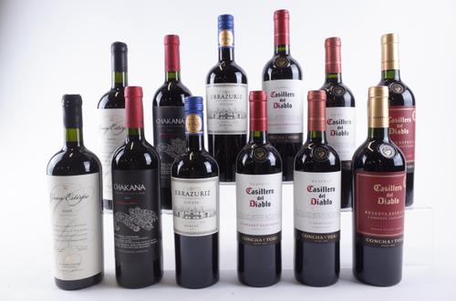 TWELVE BOTTLES CHILEAN AND ARGENTINIAN RED WINE