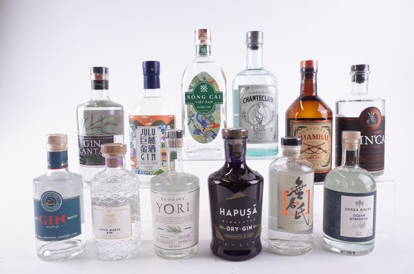 TWELVE BOTTLES GIN