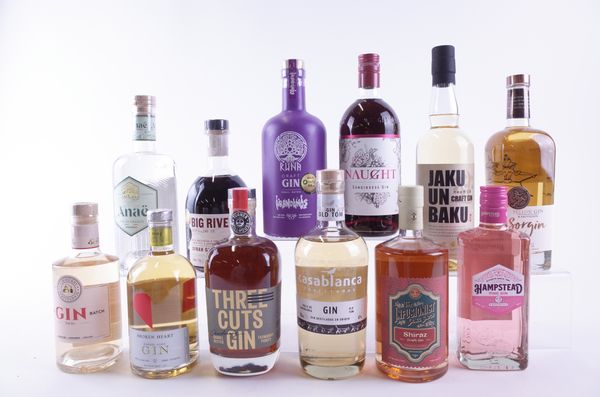 TWELVE BOTTLES GIN