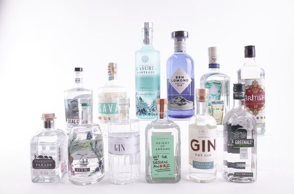 TWELVE BOTTLES GIN