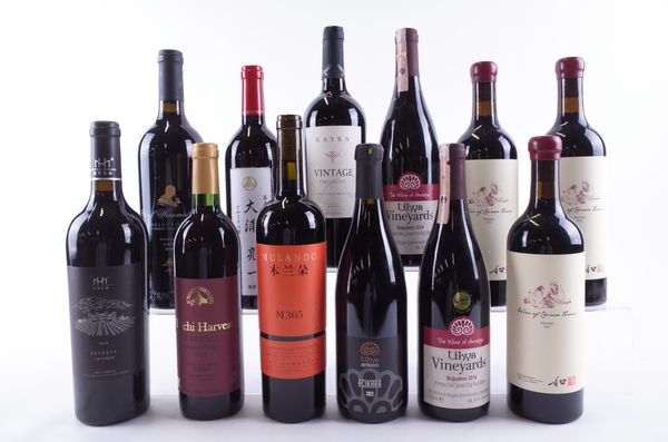 TWELVE BOTTLES TURKISH AND ASIAN RED WINE