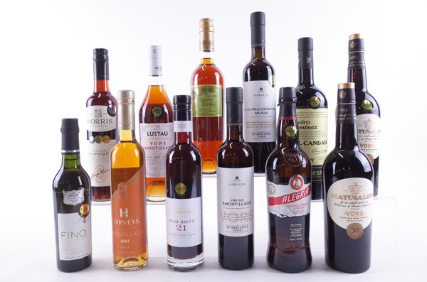 TWELVE BOTTLES VARIOUS FORTIFIED WINES