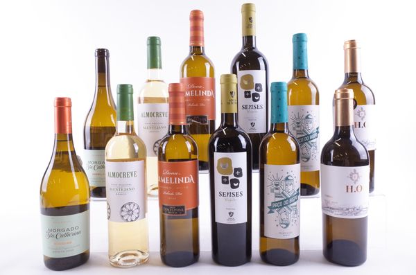 TWELVE BOTTLES PORTUGUESE WHITE WINE