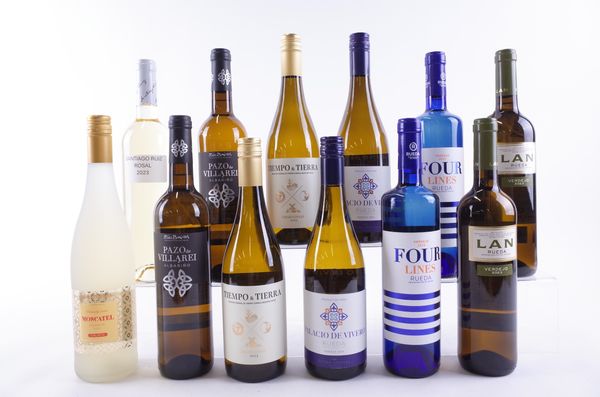 TWELVE BOTTLES SPANISH WHITE WINE