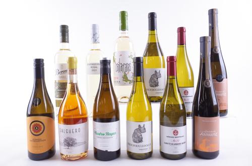 ELEVEN BOTTLES FRENCH, PORTUGUESE AND SPANISH WHITE AND ONE ORANGE WINE