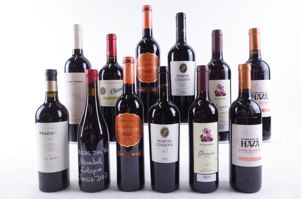 TWELVE BOTTLES SPANISH RED WINE