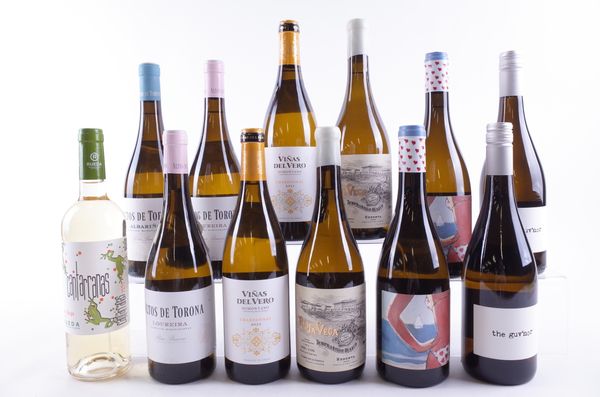 TWELVE BOTTLES SPANISH WHITE WINE