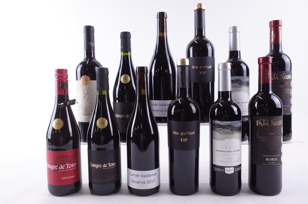 TWELVE BOTTLES SPANISH RED WINE