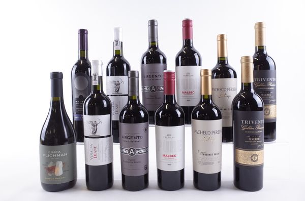 TWELVE BOTTLES ARGENTINIAN RED WINE