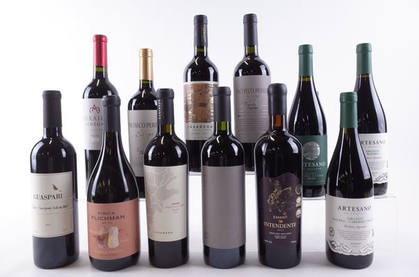 TWELVE BOTTLES ARGENTINIAN RED WINE