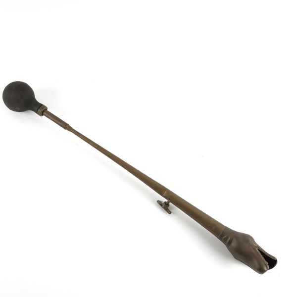 AN EDWARDIAN SNAKES HEAD CAR HORN