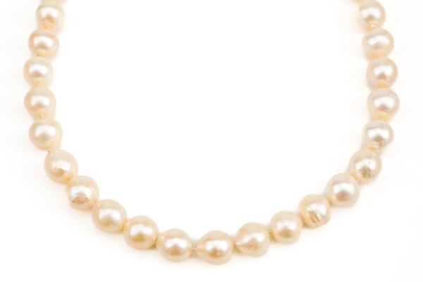 A SINGLE ROW NECKLACE OF CULTURED PEARLS