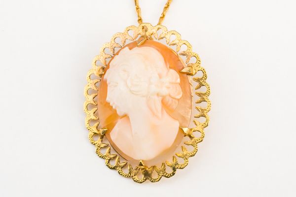 A 9CT GOLD MOUNTED SHELL CAMEO PENDANT BROOCH, WITH A 9CT GOLD NECKCHAIN (2)