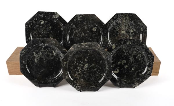 A SET OF SIX OCTAGONAL FOSSIL PLATES WITH ORTHOCERAS AND GONIATITE INCLUSIONS (6)