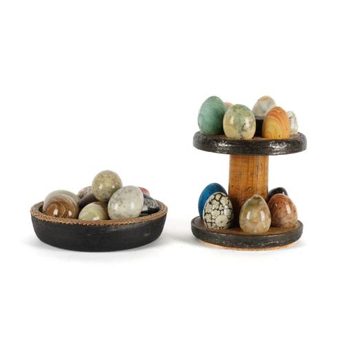 A COLLECTION OF TWENTY-ONE SPECIMEN EGGS (23)