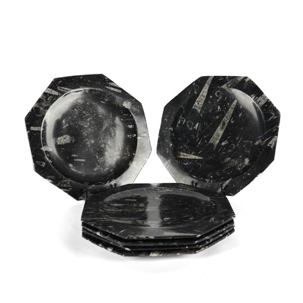 SIX OCTAGONAL BLACK FOSSIL PLATES WITH ORTHOCERAS INCLUSIONS (6)