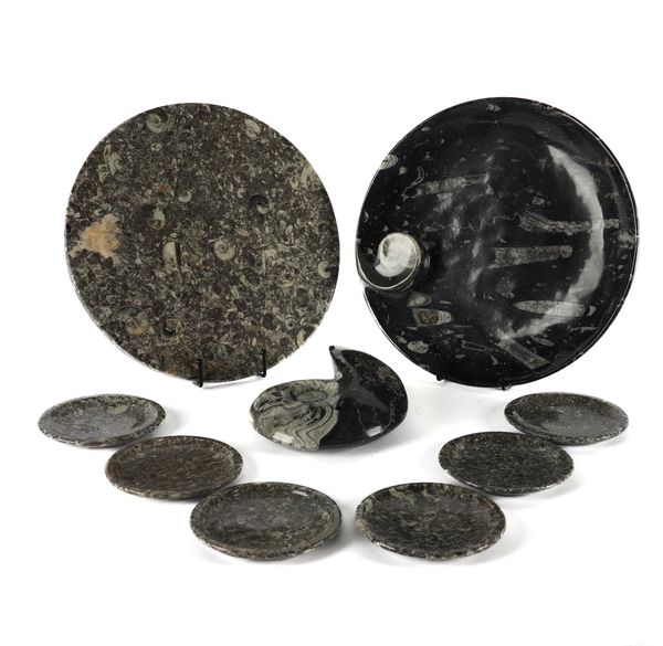 A GROUP OF SIX SMALL FOSSIL PLATES WITH ORTHOCERAS AND GONIATITE INCLUSIONS, TOGETHER WITH A CHEESEBOARD, SERVING DISH AND A GONIATTE (9)