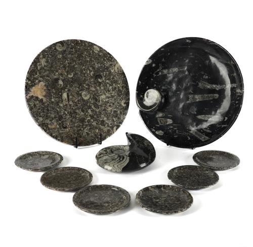 A GROUP OF SIX SMALL FOSSIL PLATES WITH ORTHOCERAS AND GONIATITE INCLUSIONS, TOGETHER WITH A CHEESEBOARD, SERVING DISH AND A GONIATTE (9)