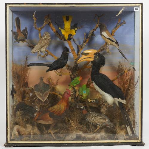 OF TAXIDERMY INTEREST: AN EDWARDIAN CASED COLLECTION OF INDIAN BIRDS