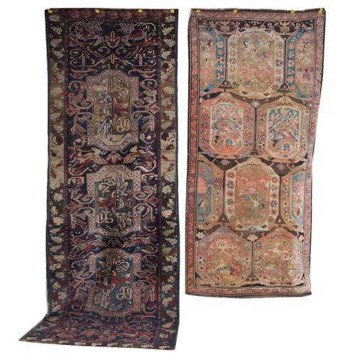 A SEYCHOUR RUNNER CAUCASIAN(2)