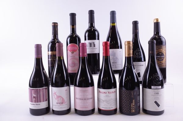 TWELVE BOTTLES SPANISH RED WINE