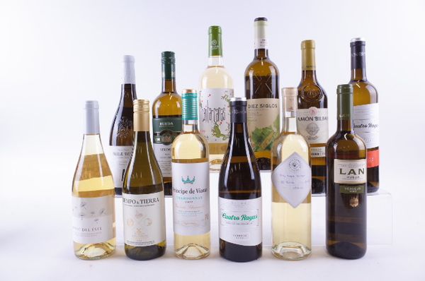 TWELVE BOTTLES SPANISH WHITE WINE