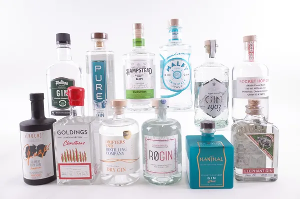 TWELVE BOTTLES GIN