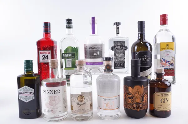 TWELVE BOTTLES GIN