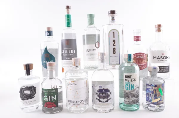 TWELVE BOTTLES GIN