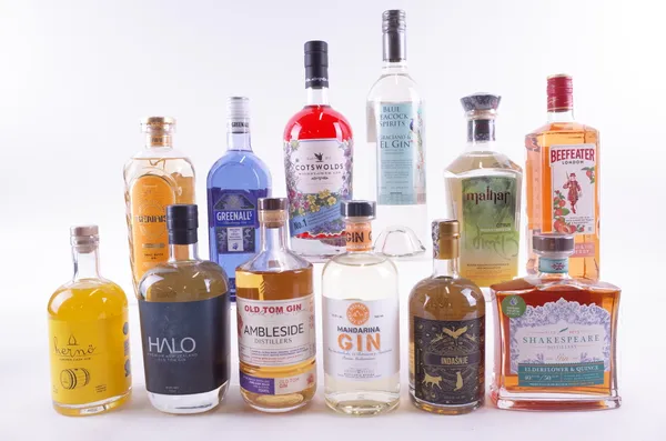 TWELVE BOTTLES GIN