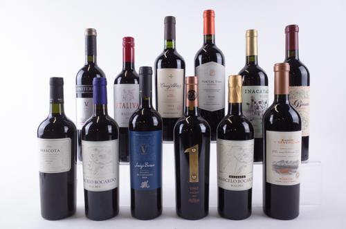TWELVE BOTTLES ARGENTINIAN MALBEC