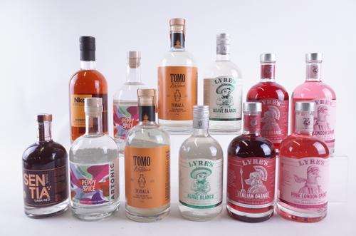 TWELVE BOTTLES VARIOUS SPIRIT ALTERNATIVES