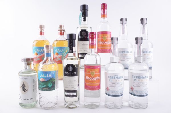 TWELVE BOTTLES TEQUILA AND MECZCAL