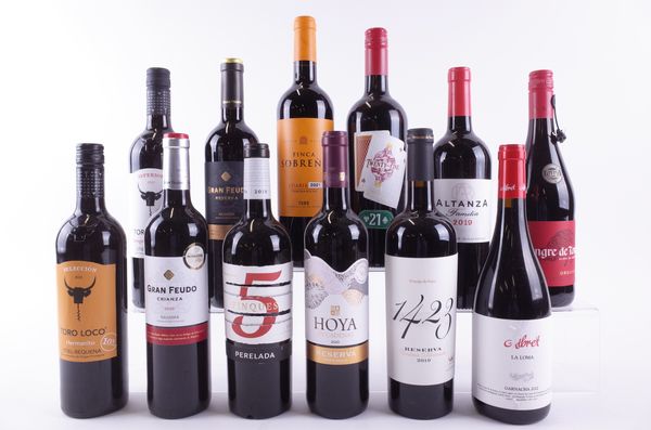 TWELVE BOTTLES SPANISH RED WINE