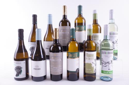 TWELVE BOTTLES PORTUGUESE WHITE WINE