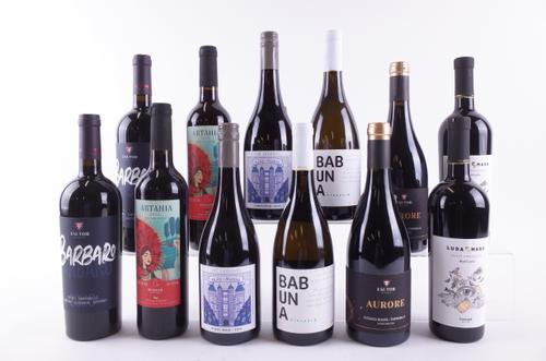 TEN BOTTLES MOLDOVAN, MACEDONIAN, ROMANIAN AND UKRAINIAN RED AND TWO WHITE WINE