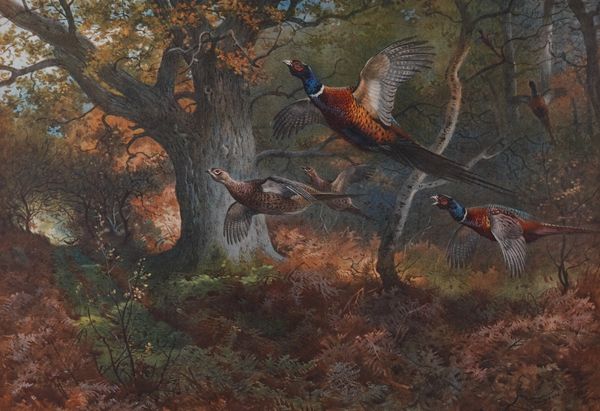 ARCHIBALD THORBURN (BRITISH, 1860-1935) (5)