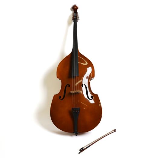 A DOUBLE BASS BY JOSEPH JAN DVORAK (3)
