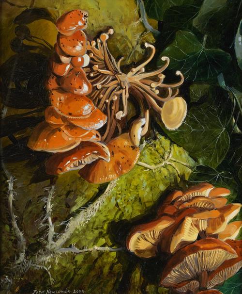 PETER NEWCOMBE (BRITISH, B. 1943)