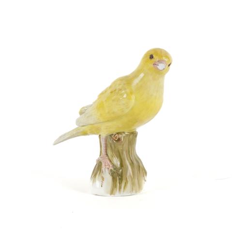 A MEISSEN MODEL OF A CANARY