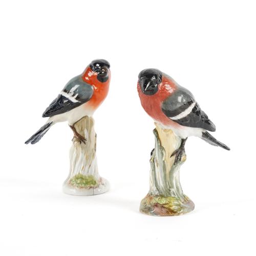 A NEAR PAIR OF MEISSEN BULLFINCHES (2)