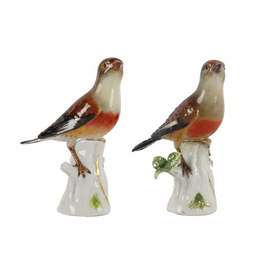 TWO MEISSEN MODELS OF FINCHES (2)