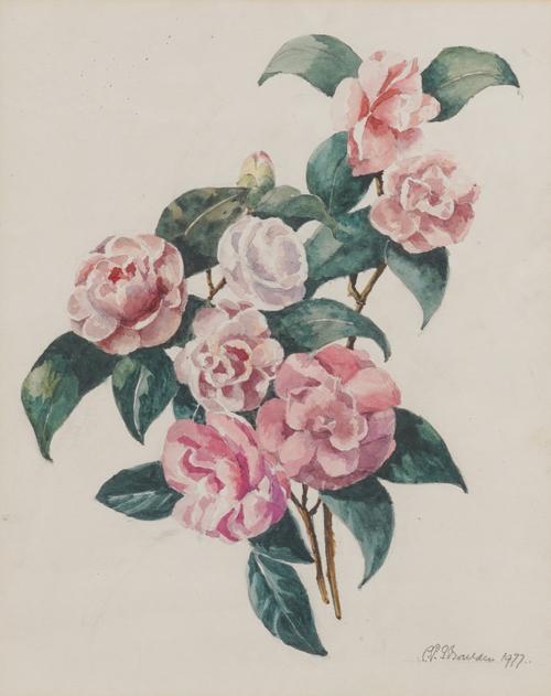 C P F BOULDEN (20TH CENTURY) (10)