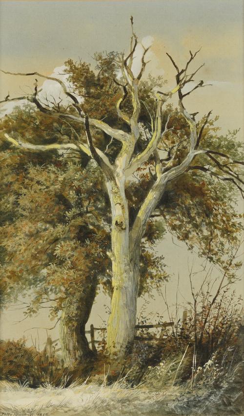 PETER NEWCOMBE (BRITISH, B. 1943)